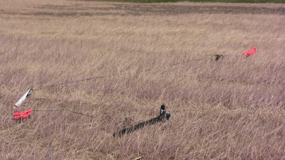 Shaken, Not Stirred landed in the dry rye