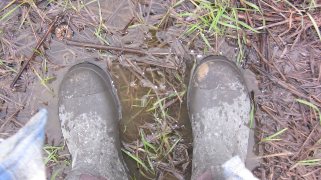 The field was wet and muddy